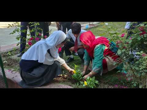 Tree plantation drive conducted at MSAGS on the ocassion of World Environment Day ( 05 June 2025)