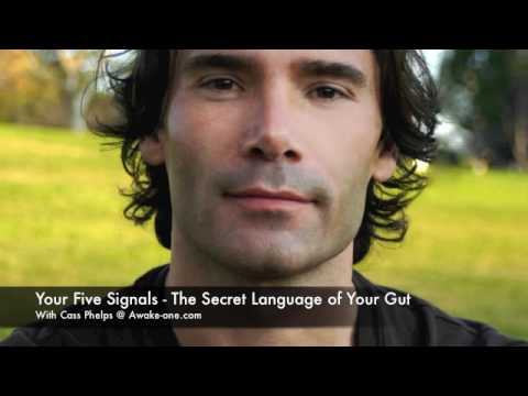 Five Signals Into - The Secret Language of Your Gut