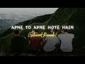 APNE TO APNE HOTE HAIN Slowed Reverb Lofi Song Heart Touching Song
