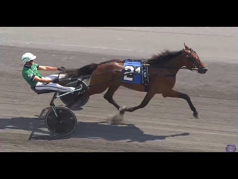 Bond & Å Svanstedt won Pennsylvania Sire Stakes Final 2 YO Filly Trot $252,000 in 1.54,3 at Chester.