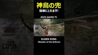 【エルデンリング】神鳥の兜～簡単にとれます3分もいりません!【PS5 #Shorts #エルデンリング  #Shadow of the Erdtree #神鳥の兜
