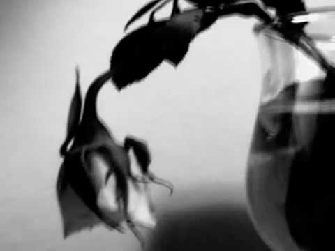 Mina e De André La canzone di Marinella