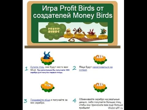 Profit birds — инвестиционный проект