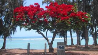 On the other side. The Gladiators