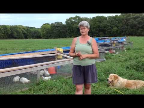 download lagu mp3 mp4 Chicago Area Csa, download lagu Chicago Area Csa gratis, unduh video klip Chicago Area Csa