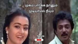 23 October 2025🙏❤️👍#முகம் பார்க்க நானும் முடியாமல் நீயும் திரை போட்டு உன்னை👍#trendingshorts#lovesong