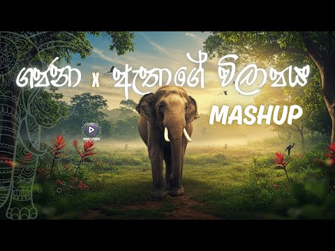 Gajana x Athage Wilapaya | ගජනා x ඇතාගේ විලාපය | MASHUP | By DINU VIBES