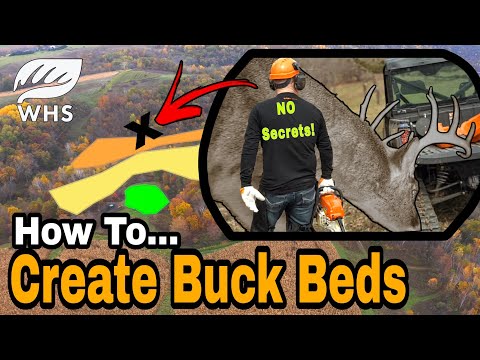 How to Build Buck Bedding Areas
