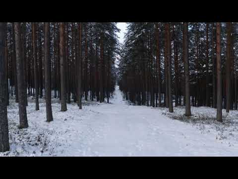 [FREE] Drake X Jax Hess X Tyus Type Beat - December