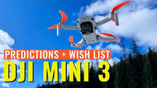 DJI MINI 3 | WHAT TO EXPECT - My Predictions and Wish List