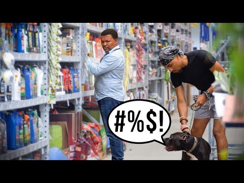Cussing Dog Prank! 2
