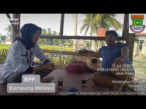 Kunjungan Kerja di Kelompok Tani Mekar sari Desa laksana Kec .Pakuhaji