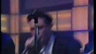 CURIOSITY KILLED THE CAT THETUBE DOWN TO EARTH MILE HIGH