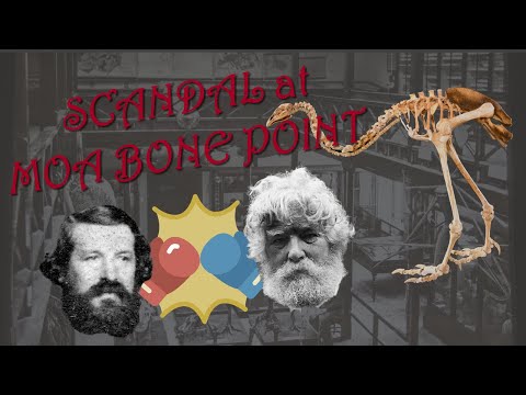 Scandal at Moa Bone Point Cave