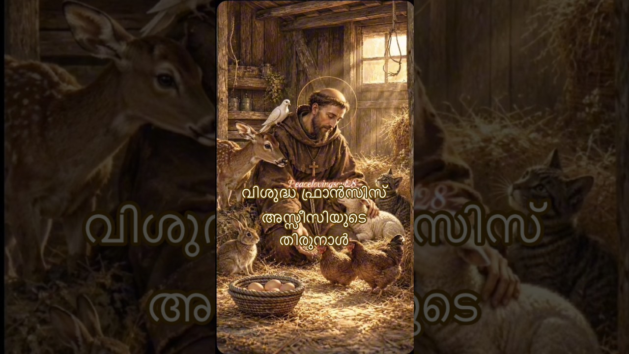 വിശുദ്ധ ഫ്രാൻസിസ് അസ്സീസിയുടെ തിരുനാൾ✨