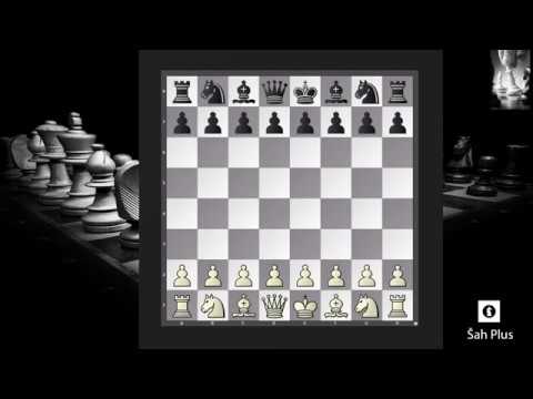 Aljehinova Odbrana – Greške u Šahovskim Otvaranjima na Šah Plus Kanalu