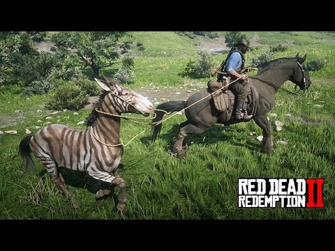 Crazy Mission: ZEBRA, LION and TIGER in Red Dead - Red Dead Redemption 2