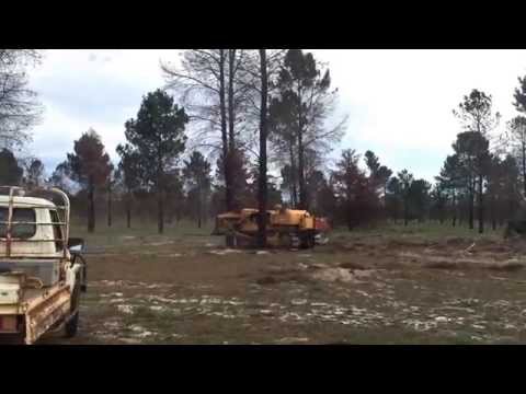 Allis-Chalmers HD21 Knocking Down Trees