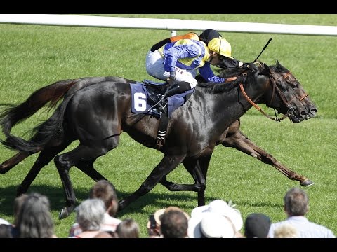Baden-Baden: Badener Meile (Gruppe 2) - Sieger: Amaron