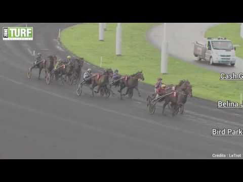 Critérium Continental et Prix Ténor de Baune :  Deux visas à gagner pour l’Amérique