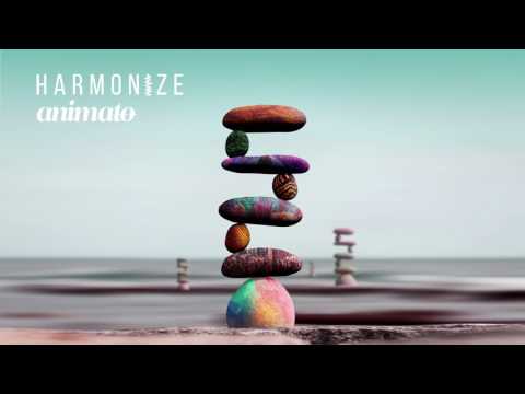 Animato & Ticon - Last Resort