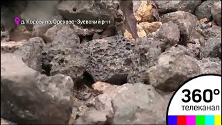 Рыбалка в орехово зуевском района места орехово-зуевского