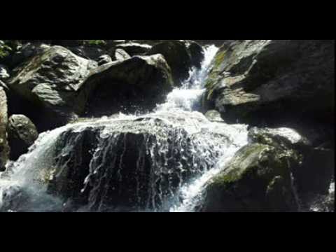 Corul Barbatesc Voitinel - Vrednic esti Mielule