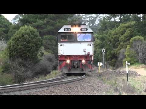 G535 + 8026 + C501 El Zorro empty wheat at Robertson