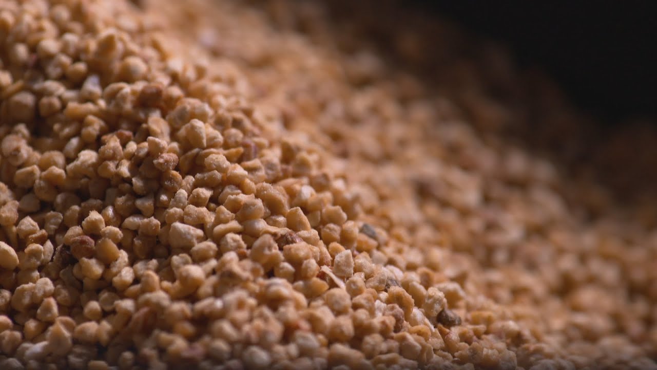 La semaine verte | Bti : le Québec à la croisée des chemins