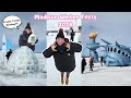 Winter Carnival, Frozen Assets, & Scandi Hoovian