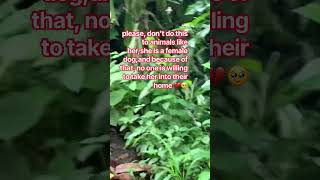 Download lagu Tolong jangan tinggalkan anak-anak kecil seperti ini di jalanan #sedih #wajahsedih #youtubeshort mp3