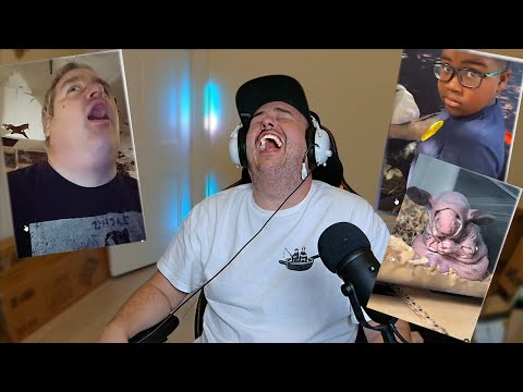 Daz schaut sich Dinge an, über die man eigentlich nicht lachen sollte.