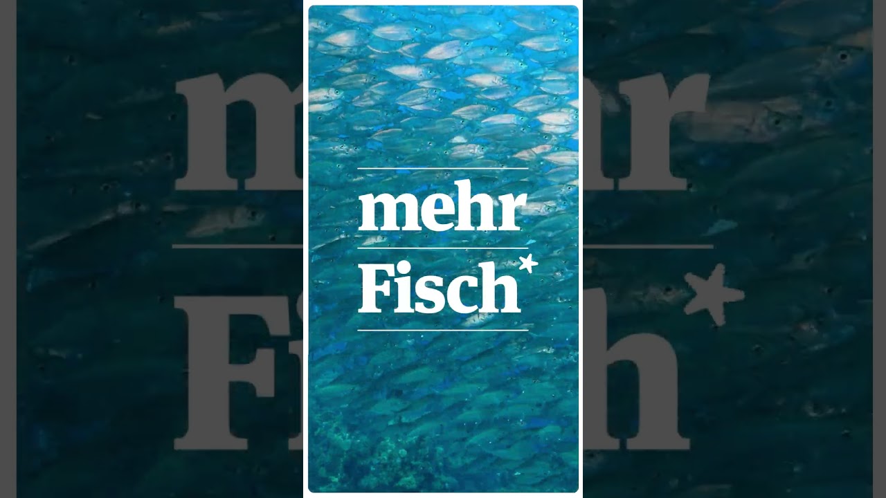 Mehr Fisch im Meer durch nachhaltige Fischerei 🐟