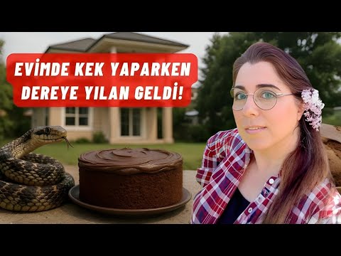 WE WERE HAVING A QUIET DAY WITH MY SISTER, MAKING CAKES UNTIL THE SNAKE CAME OUT 😳🔥