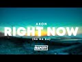Akon - Right Now (Na Na Na) (Lyrics)
