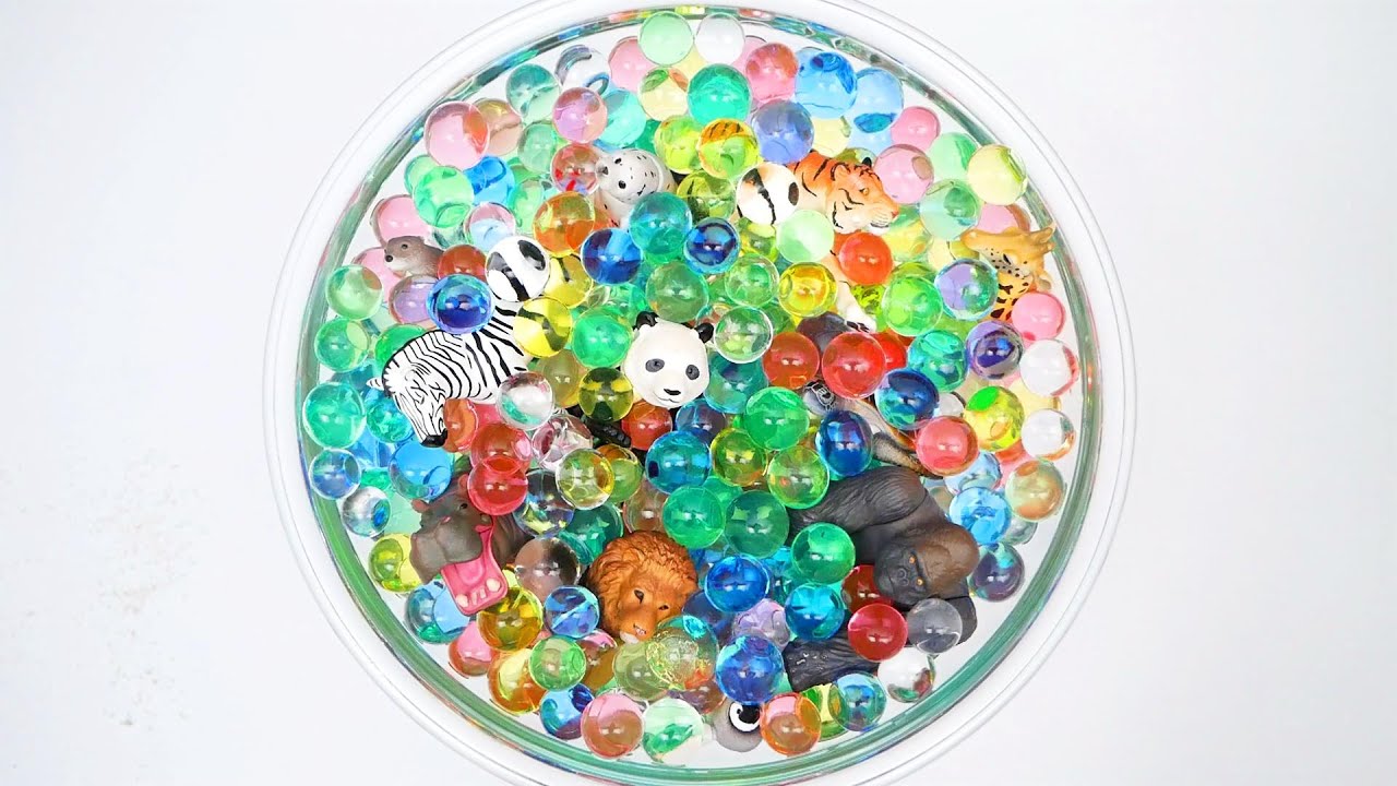 アニア ぷよぷよボールの中にかくれているのはなんの動物かな？英語で名前をおぼえよう！Learn 英語 アニア アニマルアドベンチャー ライオン、トラ、シマウマ、ゴリラ、キリン、パンダ... ANIA