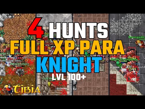 Tibia: 4 Hunt full XP para EK solo do lvl 100 ao 150 💪