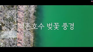 DynapicKorea 🇰🇷 서울 송파구 석촌호수 벚꽃 드론 풍경. Cherry blossom scenery of Seokchon Lake in Songpa-gu, Seoul.🌸🚁