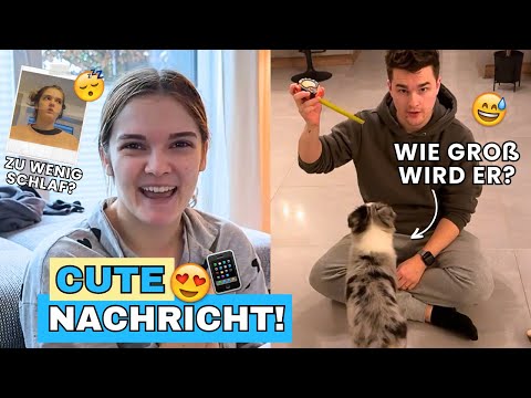 Süße NACHRICHT bekommen! 😍 Wie GROß wird Dobby? 😅| Hans&Wika