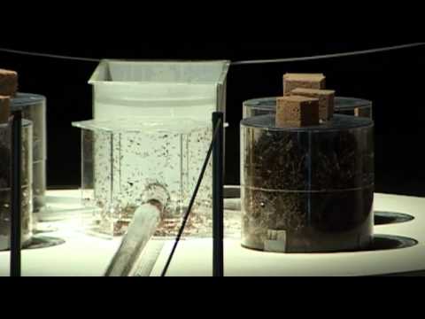 Palais de Tokyo Paris / A Tragédia dos Comuns / Robin Meier e Ali Momeni