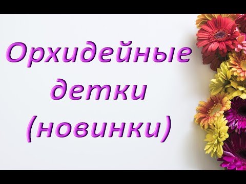 ОРХИДЕИ: ПОПОЛНЕНИЕ коллекции :))