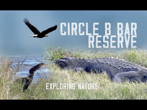 Visiting Circle B Bar Reserve