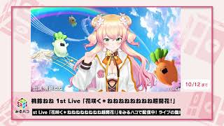 【桃鈴ねね】みるハコ配信中コメント