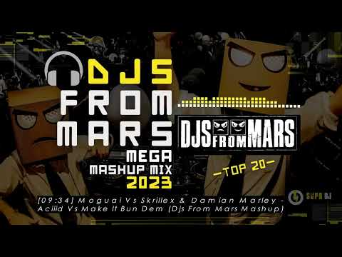 DJS FROM MARS -MEGA MIX  - (Best Mashups 2023)