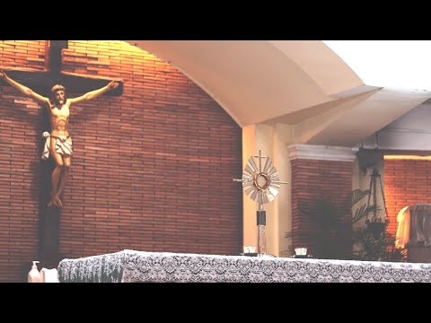 LIVE | Anticipated Sunday Mass| November 7, 2020