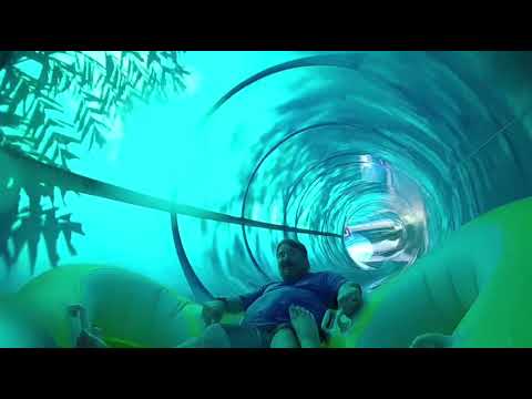 Honu of the Honu ika Moana