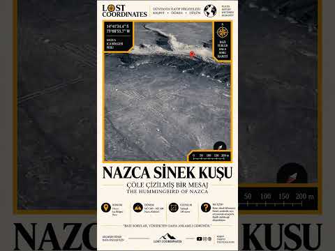 Nazca Sinek Kuşu: Çöle Çizilmiş Bir Mesaj | The Hummingbird of Nazca #keşfet #youtube #ytshorts