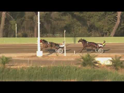 Prova di qualifica 2 anni - domenica 21 luglio 2024