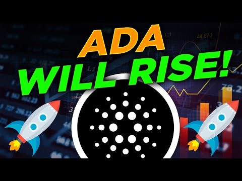 Cardano Project Card Wallet Partners With COTI! ADA DEX Maladex Breakdown!