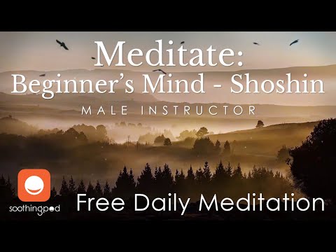 Daily Philosophy | 💚 Beginner's Mind - Shoshin | Mindfulness Guided Meditation Daily Wisdom